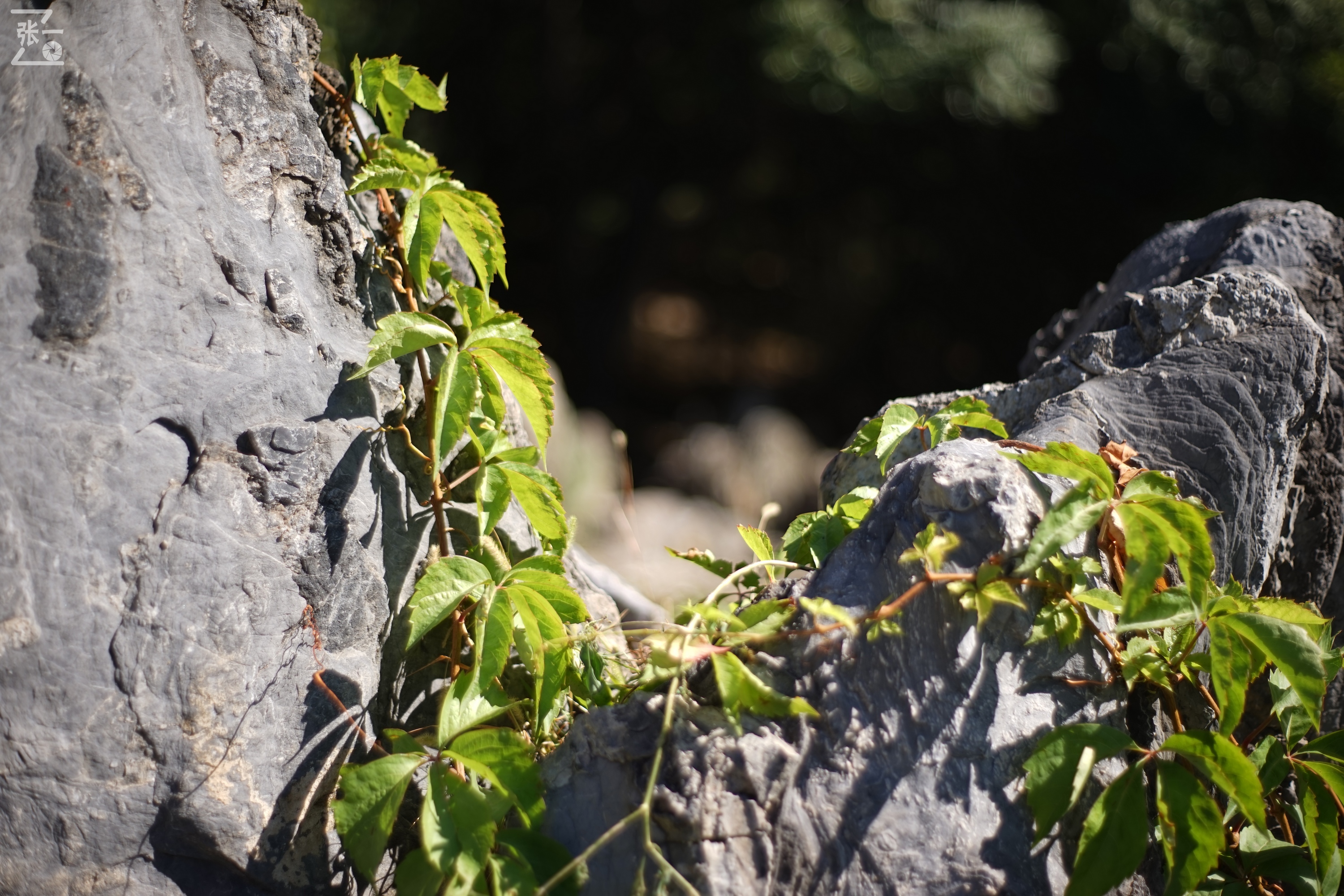 老镜头实拍,老镜头拍北京