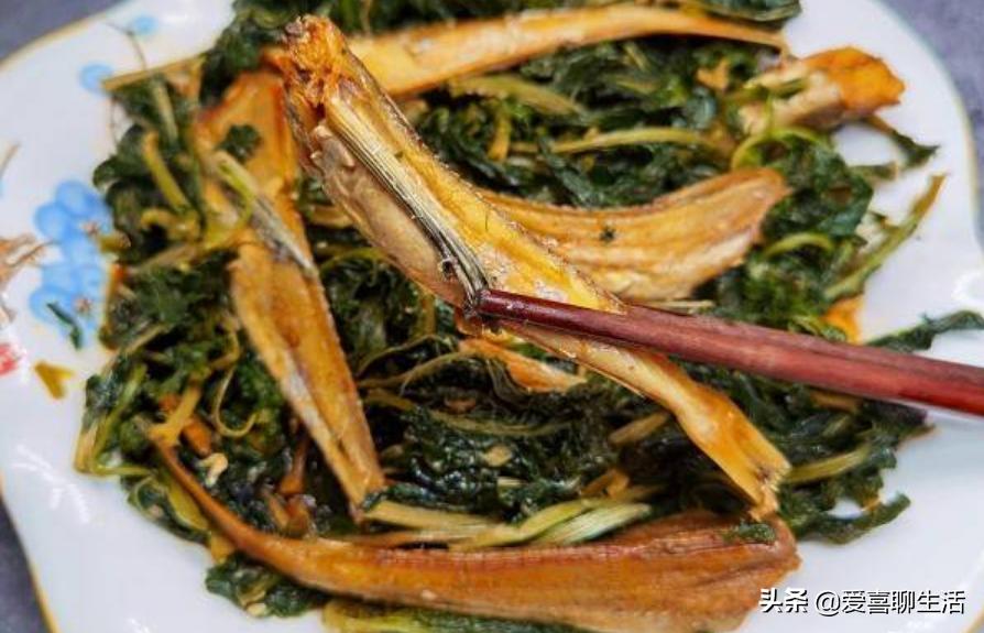 春天遇见这些菜别手软，晒干囤起来，从春吃到冬，随吃随取真省事