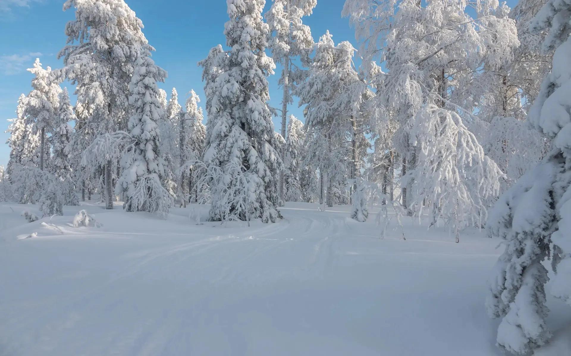 咏雪五言绝句古诗,古诗咏雪的诗句及赏析