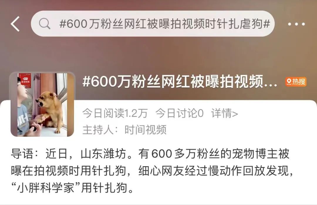 六百万网红想洗白反被封，他哭了狗笑了？网友：他活该