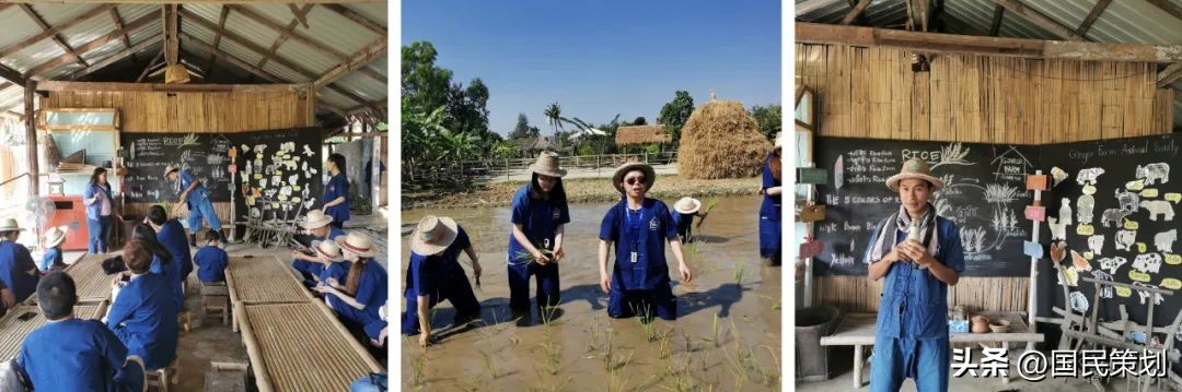 泰国清迈有什么好项目,泰国清迈旅行项目