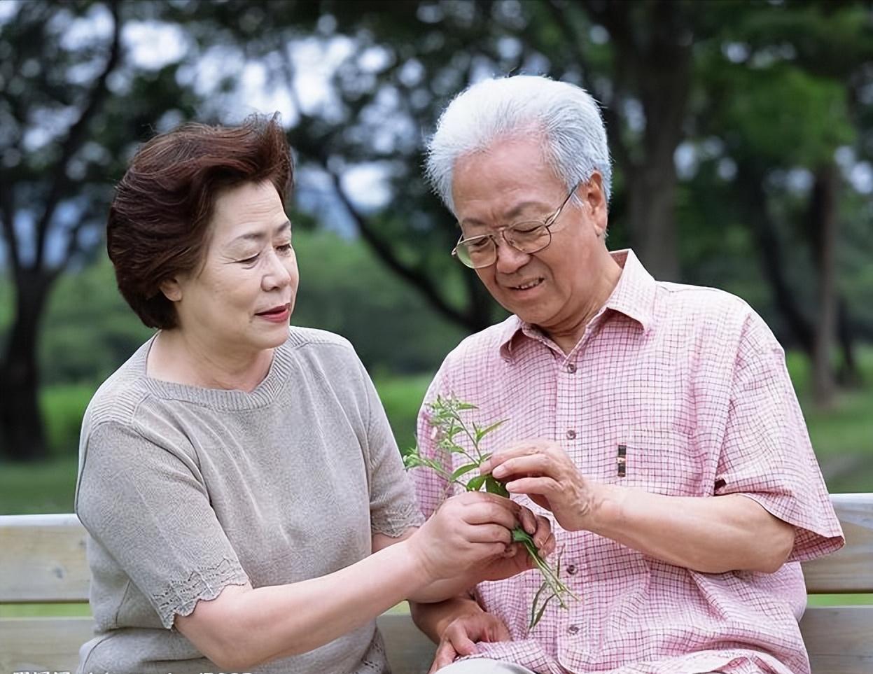 白头发越来越多缺少什么营养吗,白头发是缺乏什么营养吗