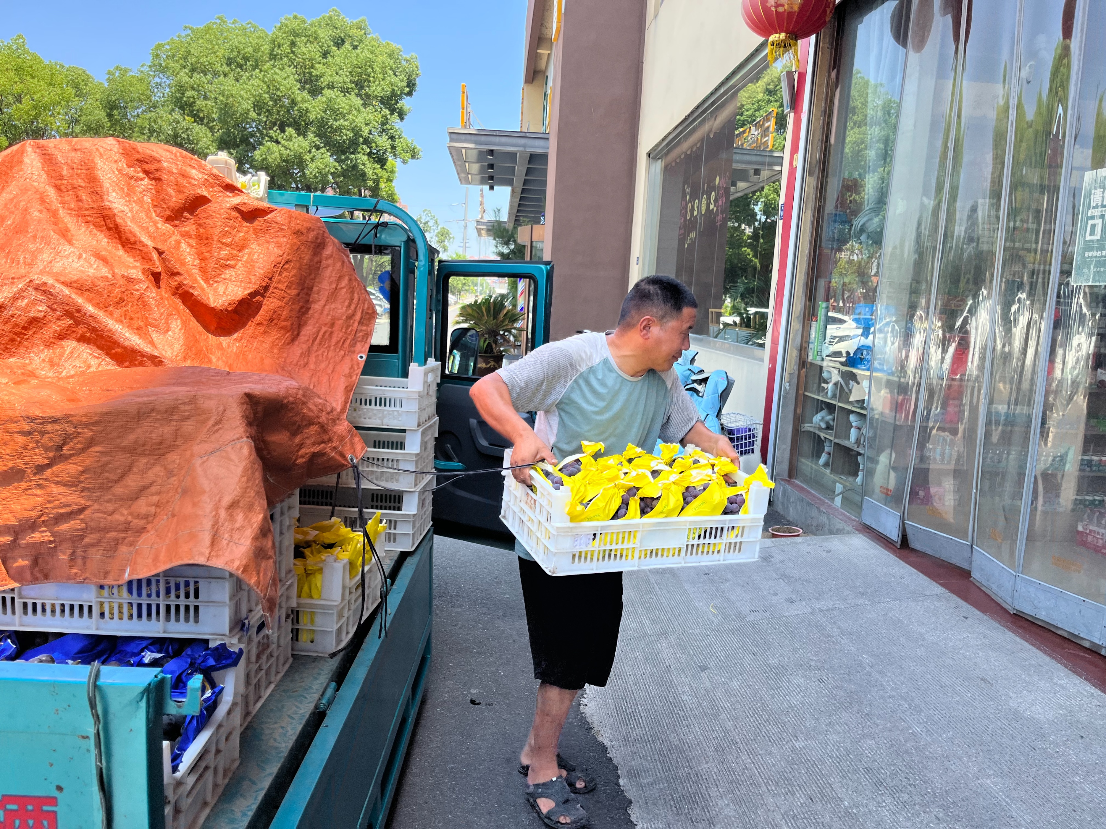 高凤香：送葡萄的高邮人（散文）