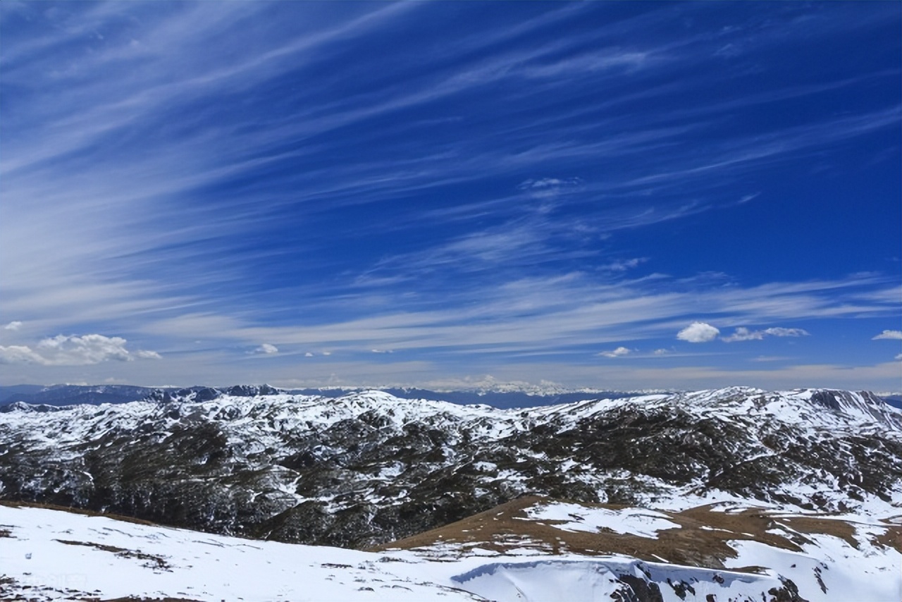 阴囊潮湿严重，一泻千里，往往阴虚湿重，试试这样搞定