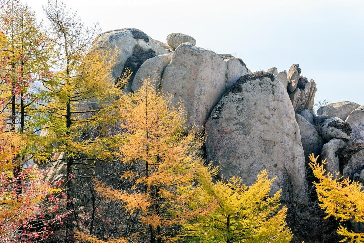 山东省AAAAA旅游景点,5a级景区排行榜山东附近