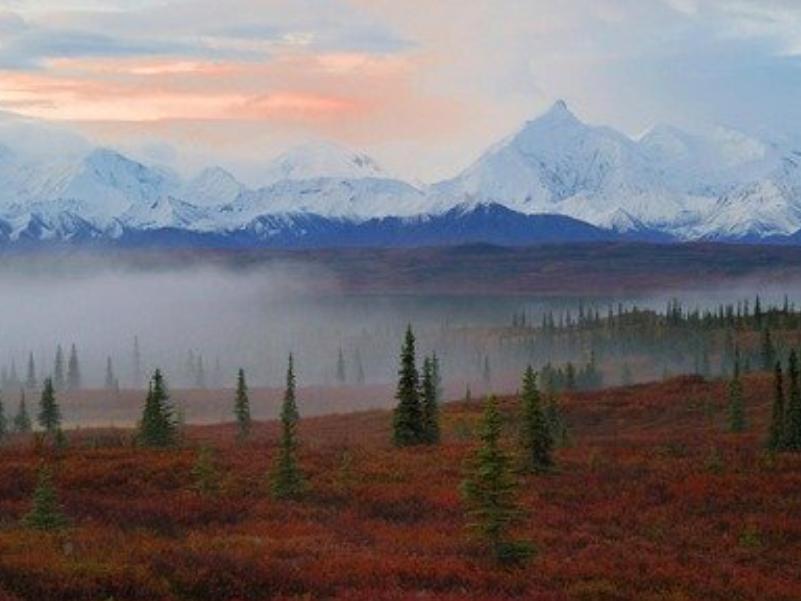 国外的旅游电子商务发展,国外旅游电子商务本土化的探讨