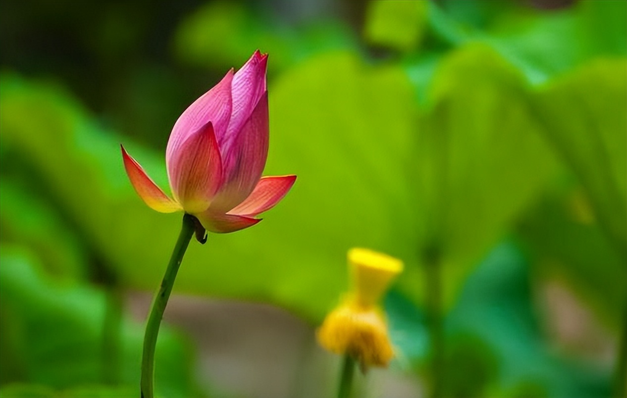 什么人需要闭环管理,真正靠谱的人都闭环管理