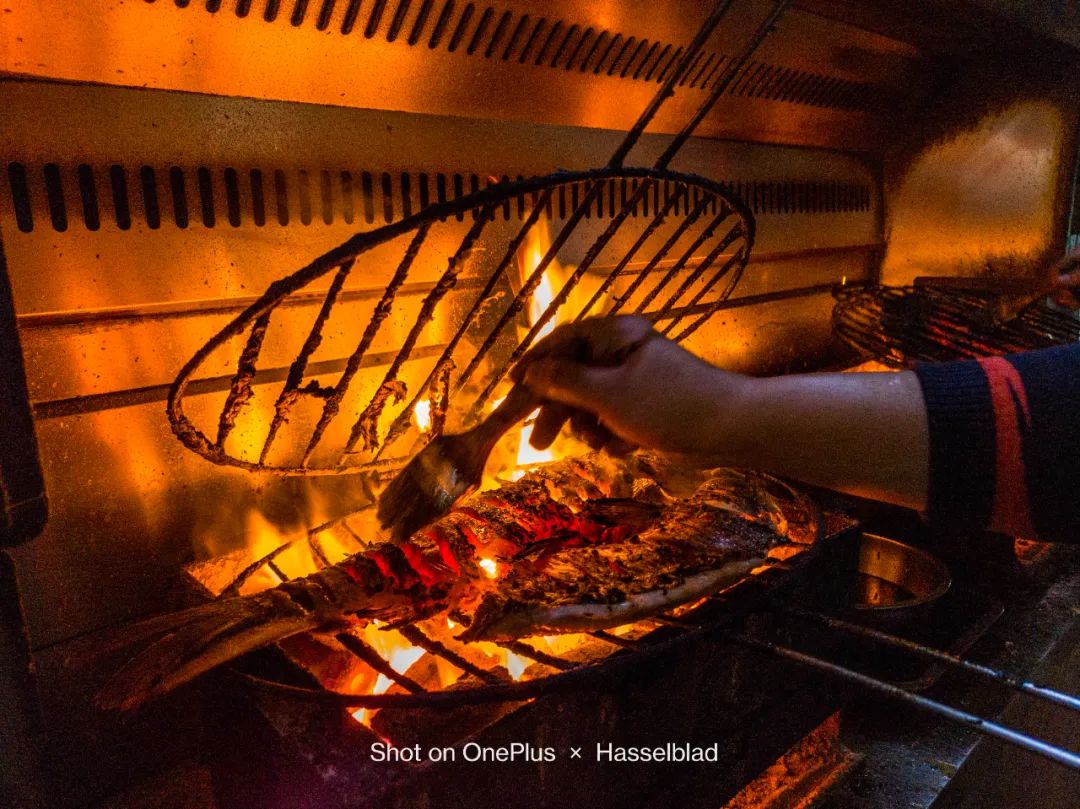 一加11拍照到底怎么样最新评测,一加11拍照远摄表现