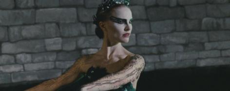 黑天鹅成长,黑天鹅破壳困难