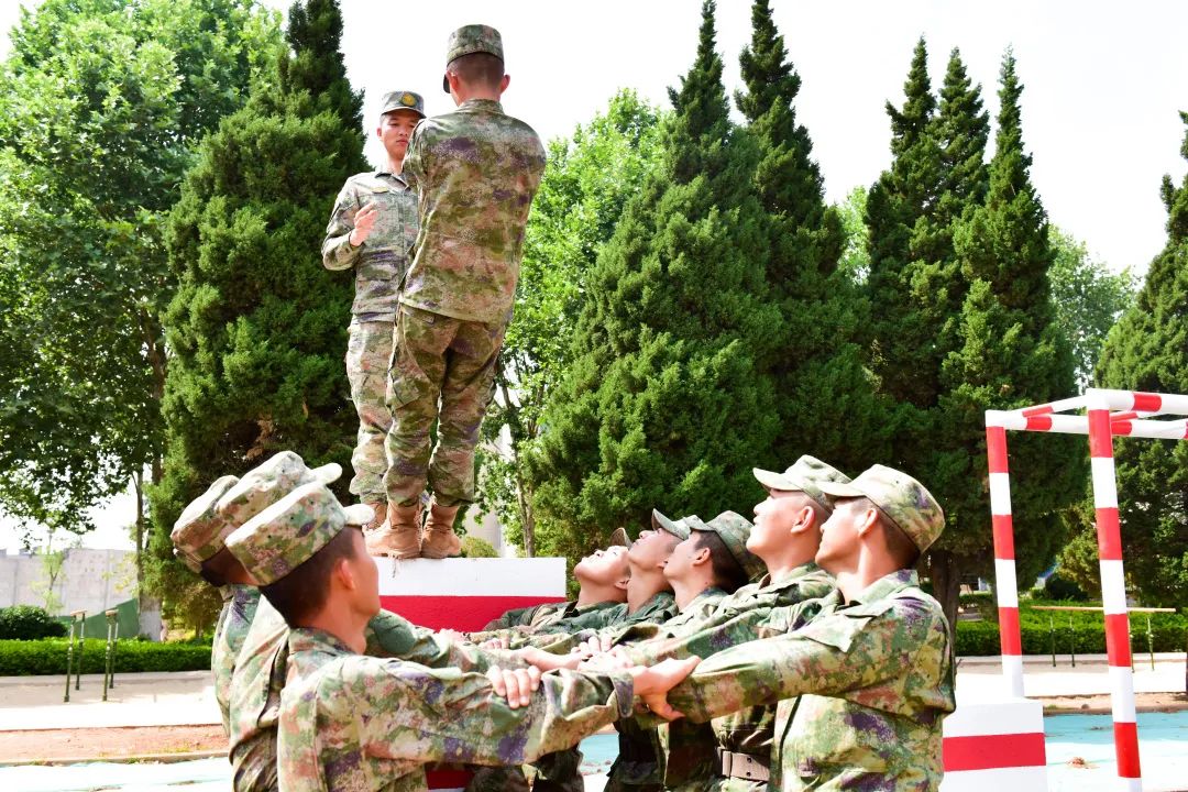 信任背摔保护人手势,信任背摔视频