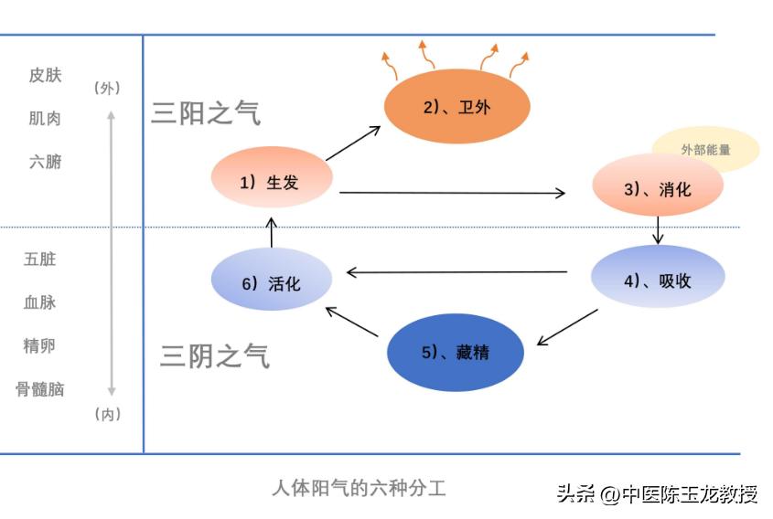 中医才知道的补阳老方暖身驱寒,道家补阳第一秘方虚寒体质的福音