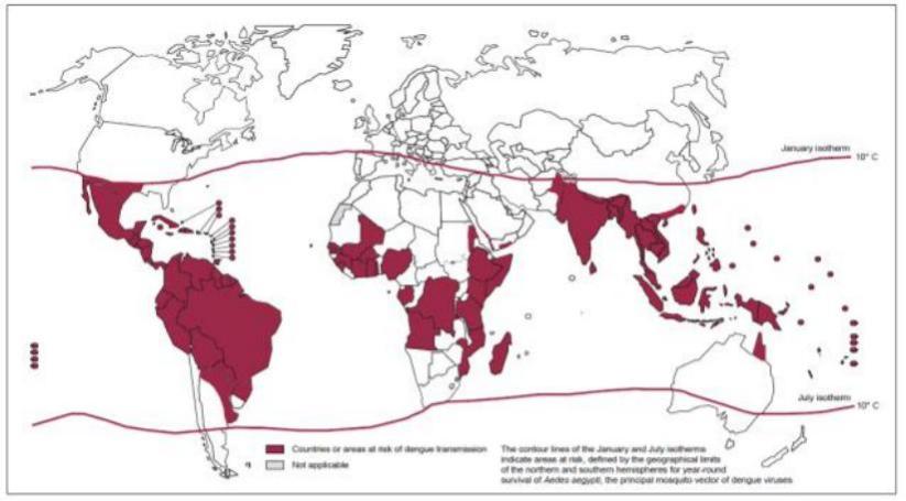 预防控制登革热最佳的措施是灭蚊,登革热的症状及预防措施