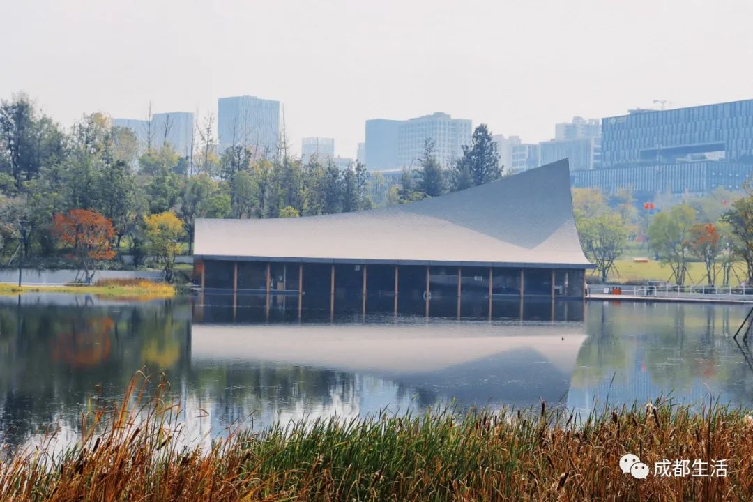 最详细成都旅游攻略,三天成都旅游全攻略