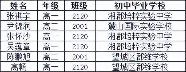 2008年长沙四大高中喜报,长沙四大名校喜报
