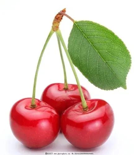 水果的美味领略自然之美,美味的水果就是甜美的享受