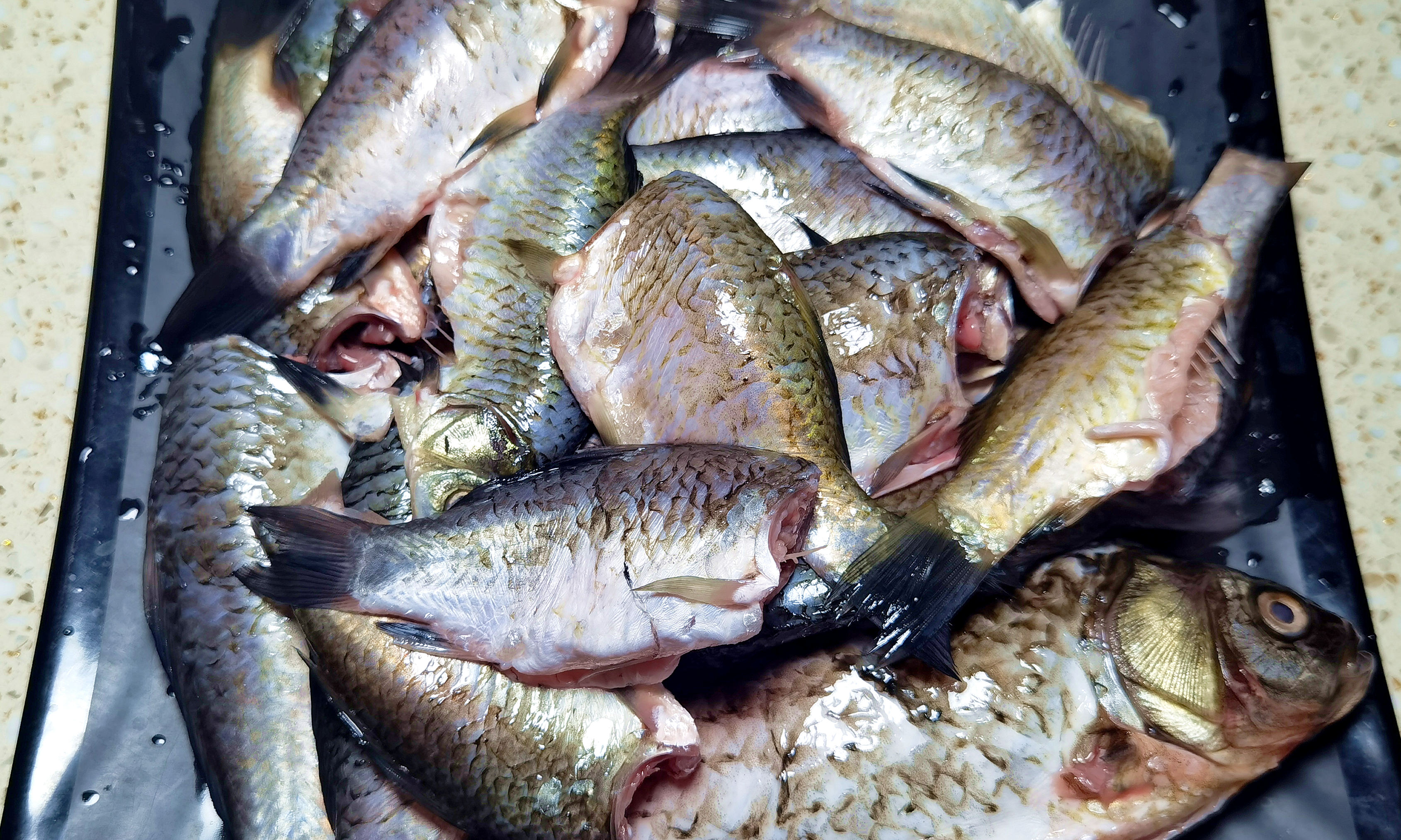 夏天什么鱼炖着好吃又简单,夏天好吃又简单的家常鱼