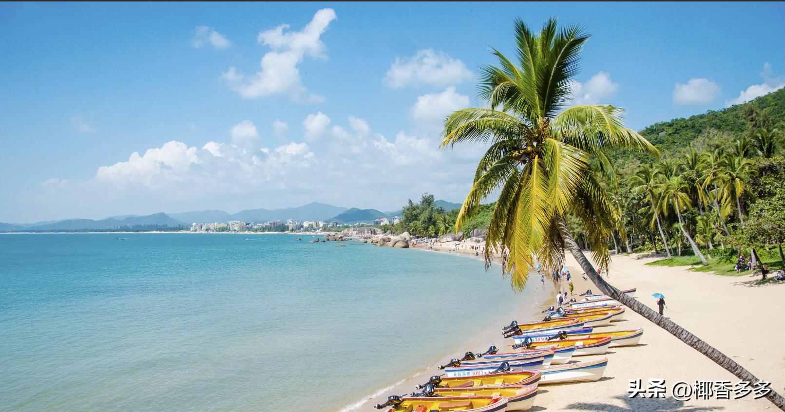 椰林寓意,海南椰林的特点