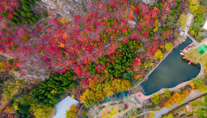 济南春游的好去处红叶谷,济南红叶野游