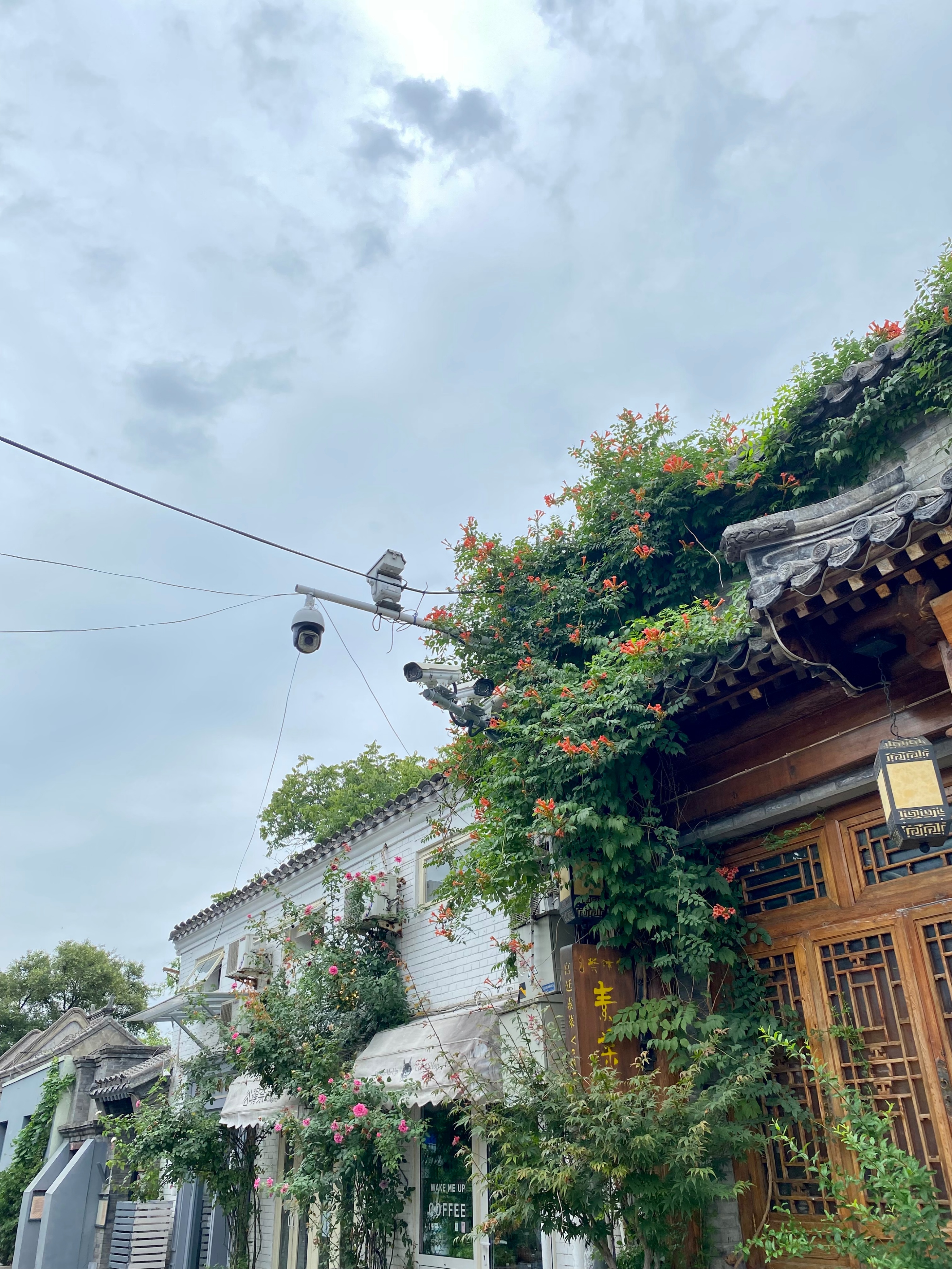 北京雍和宫胡同一日游,北京旅游攻略一日游雍和宫