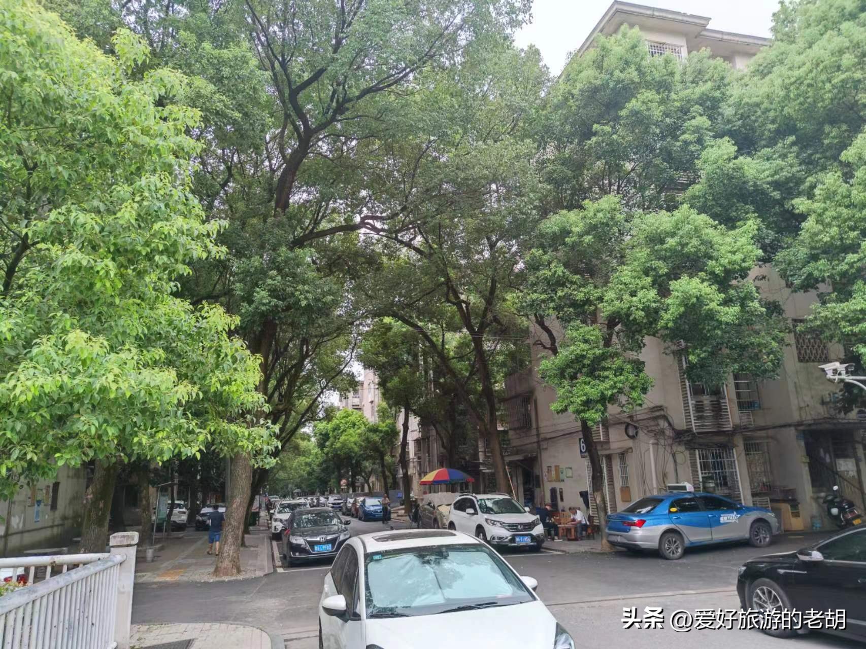 迁到长沙的国企,搬到长沙的企业