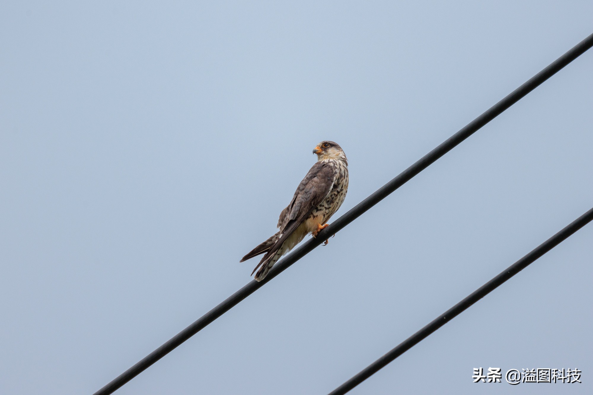 eosr7微单详细测评,佳能r7这款相机真的是值得买吗