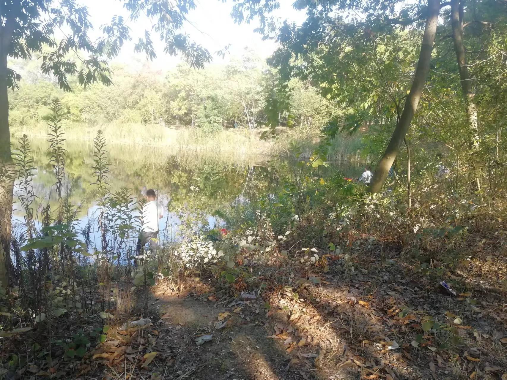 周末探访合肥市蜀山区枫林路