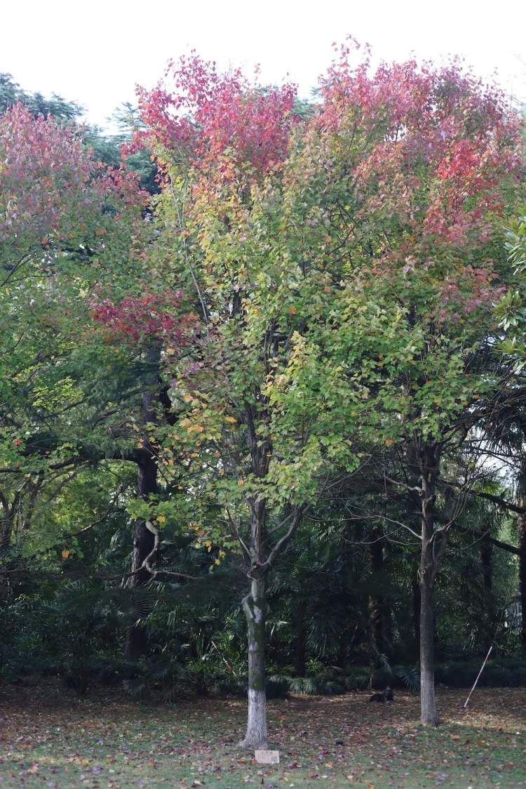 最值得打卡的动物园,国庆必打卡动物园推荐