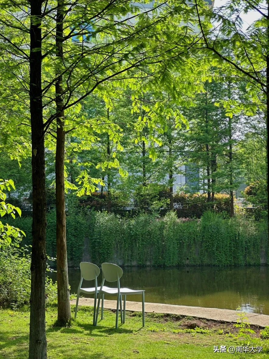 南华大学校花全集,校花南华大学