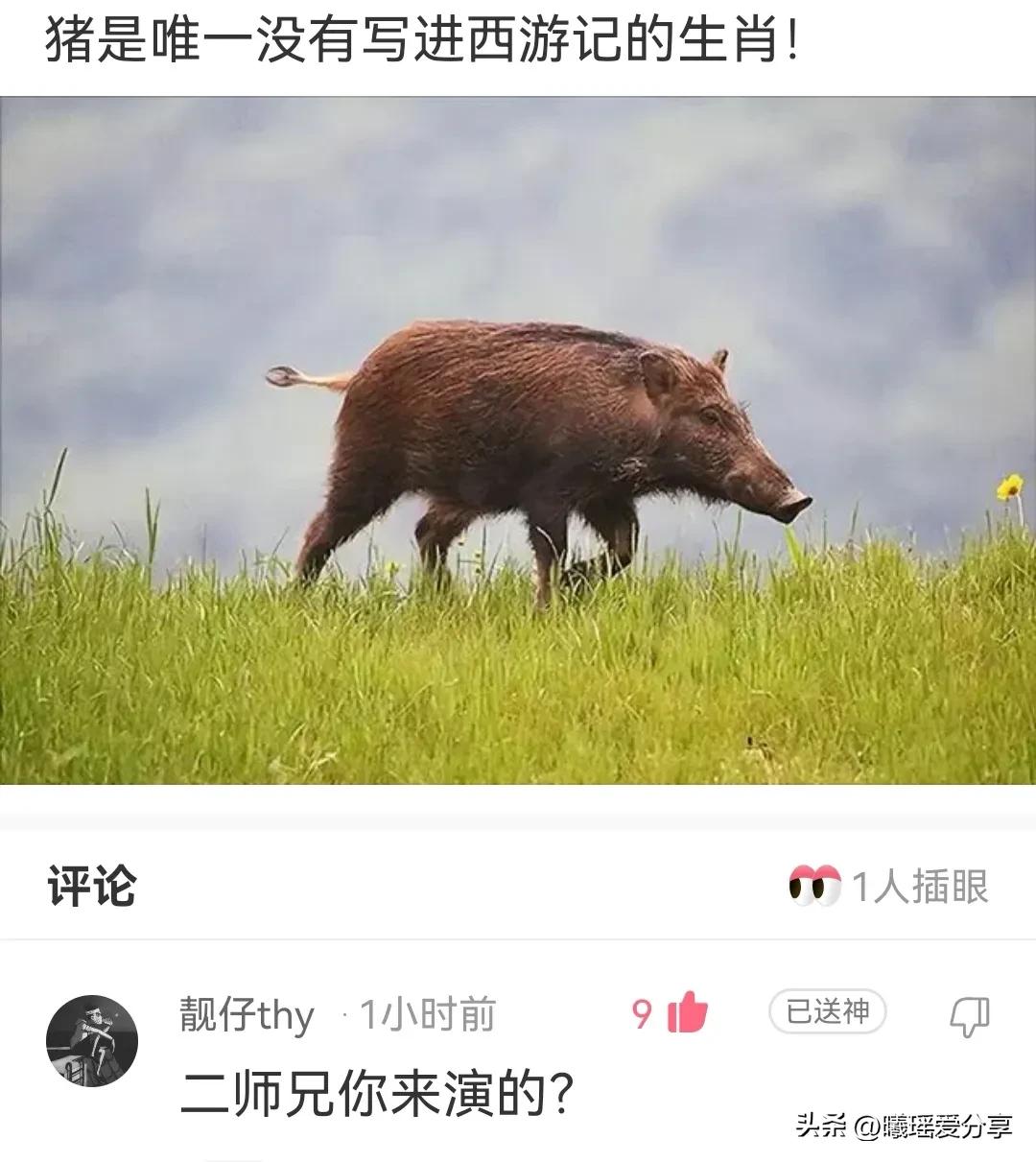 神回复：足球反着买，别墅靠大海，冷门下重注，超越*迁拆**户