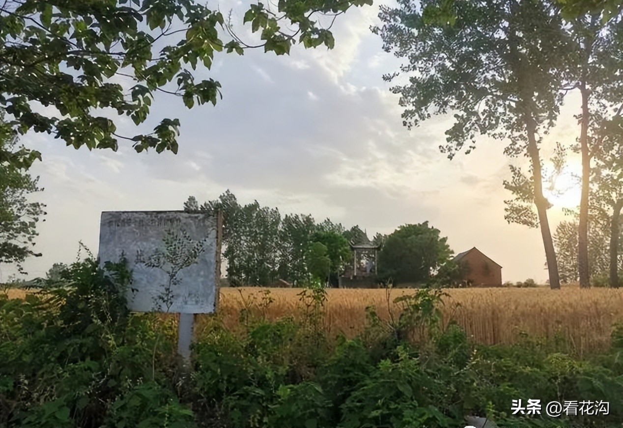 195.河南省舞阳县的概况