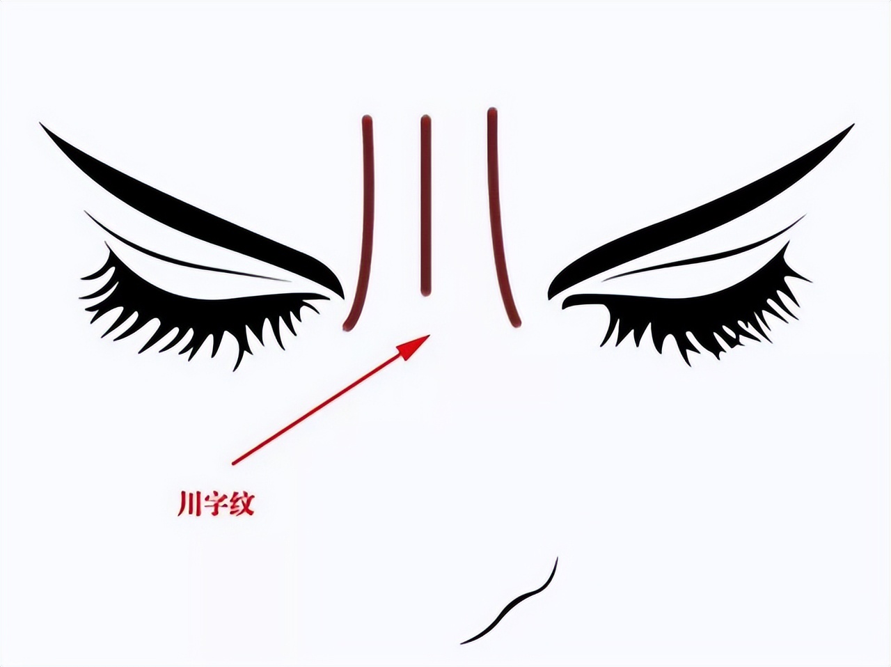 美短川字纹和英短川字纹的区别,左手川字纹和右手川字纹会怎样