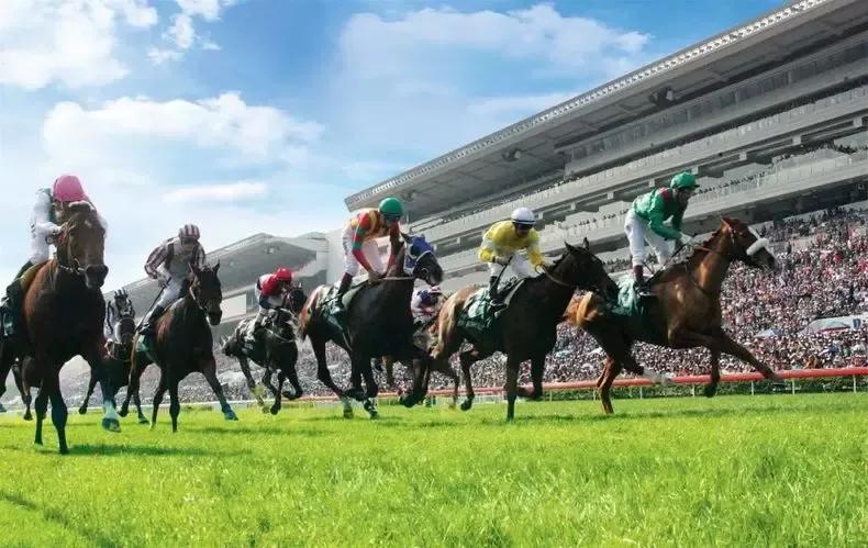 最全的香辛料名单,最全的香烟批发基地