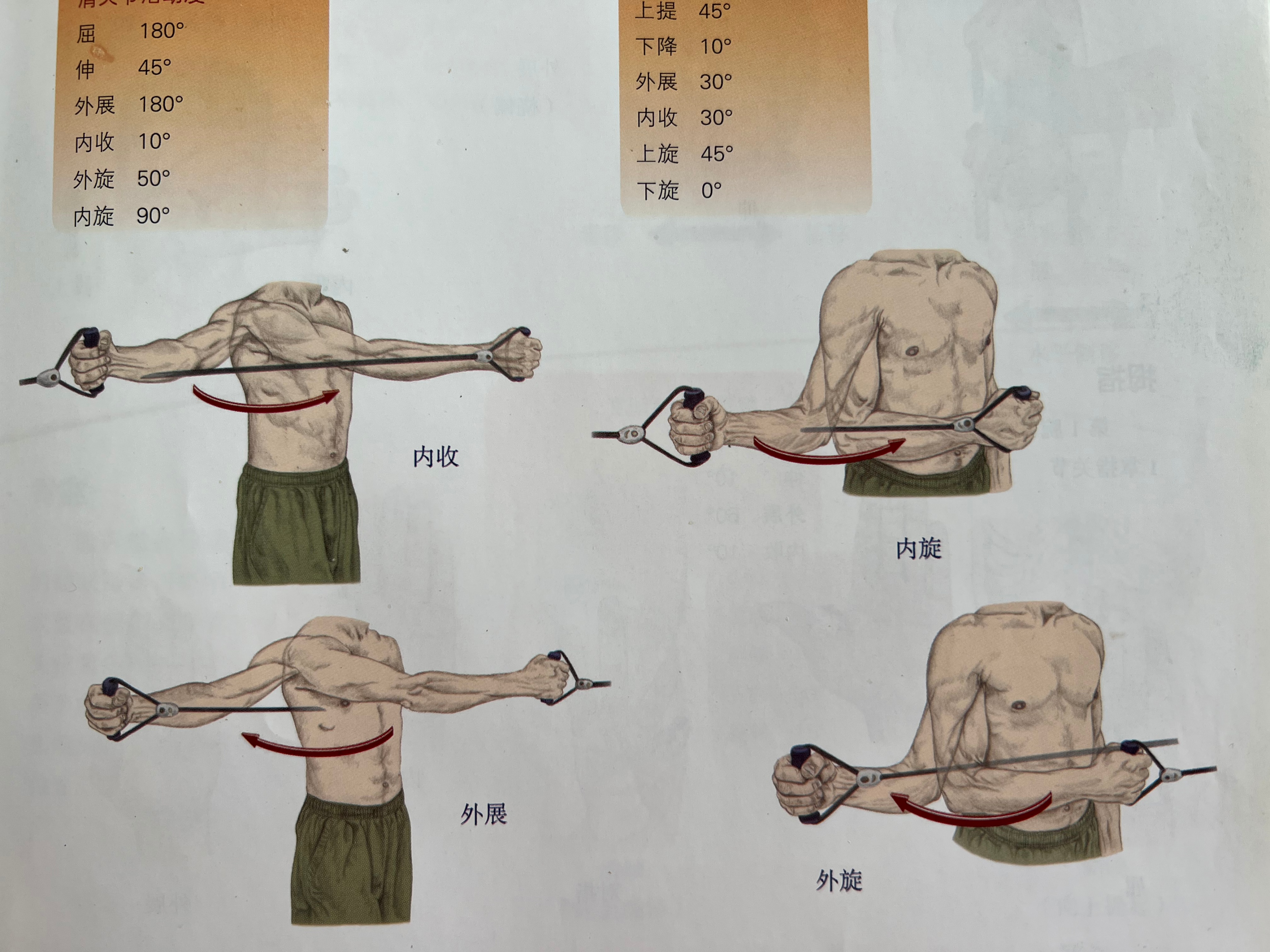 内旋发力的训练方法,羽毛球如何内旋发力