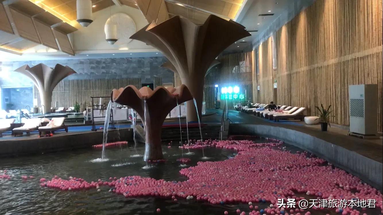 东丽湖温泉图片,东丽湖温泉怎么样