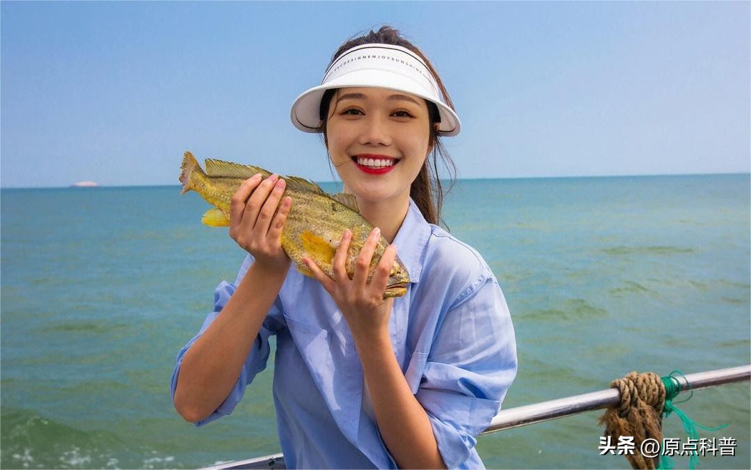 世界十大顶级海鲜排名,世界上十大最贵的十种海鲜