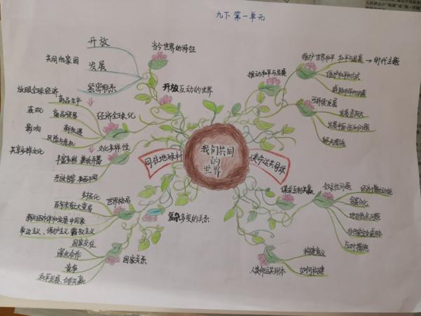 双减优秀案例从哪几个方面写,双减作业案例获奖范文