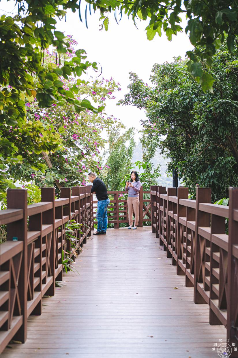 深圳海景公园景点推荐,我们逛了12个深圳绝美公园