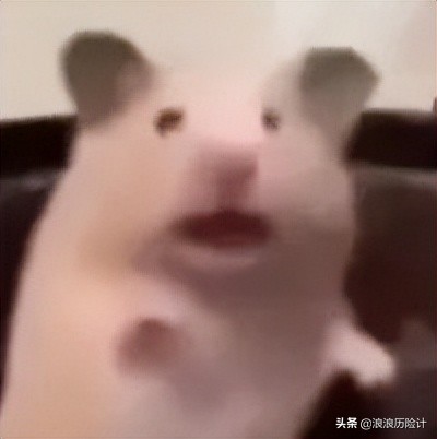 钻石是骗人的吗小视频,钻石是忽悠还是物有所值