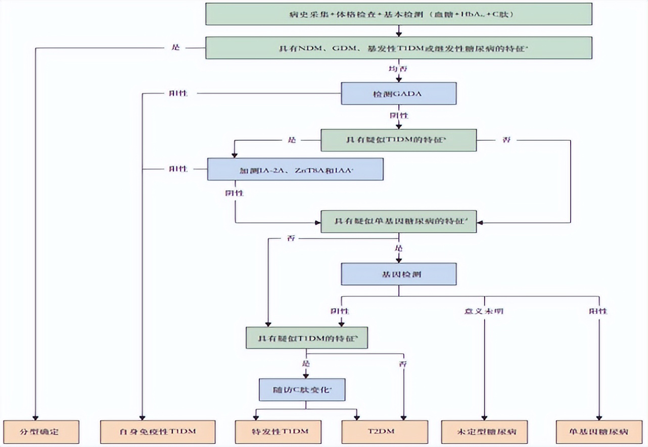 糖尿病最新分型邹大进,糖尿病精准分型路在何方