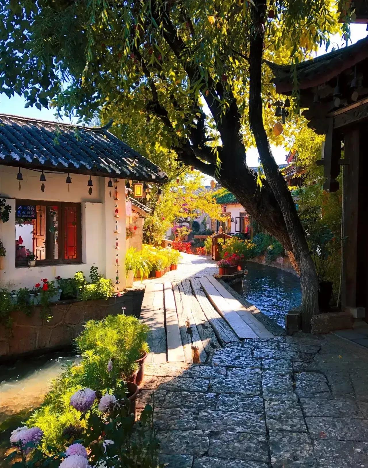 物是人非事事休欲语泪先流下句,物是人非事事休欲语泪先流采访