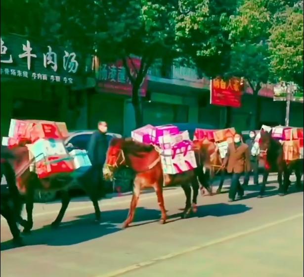 西安重回大唐盛世了吗,西安重回大唐盛世