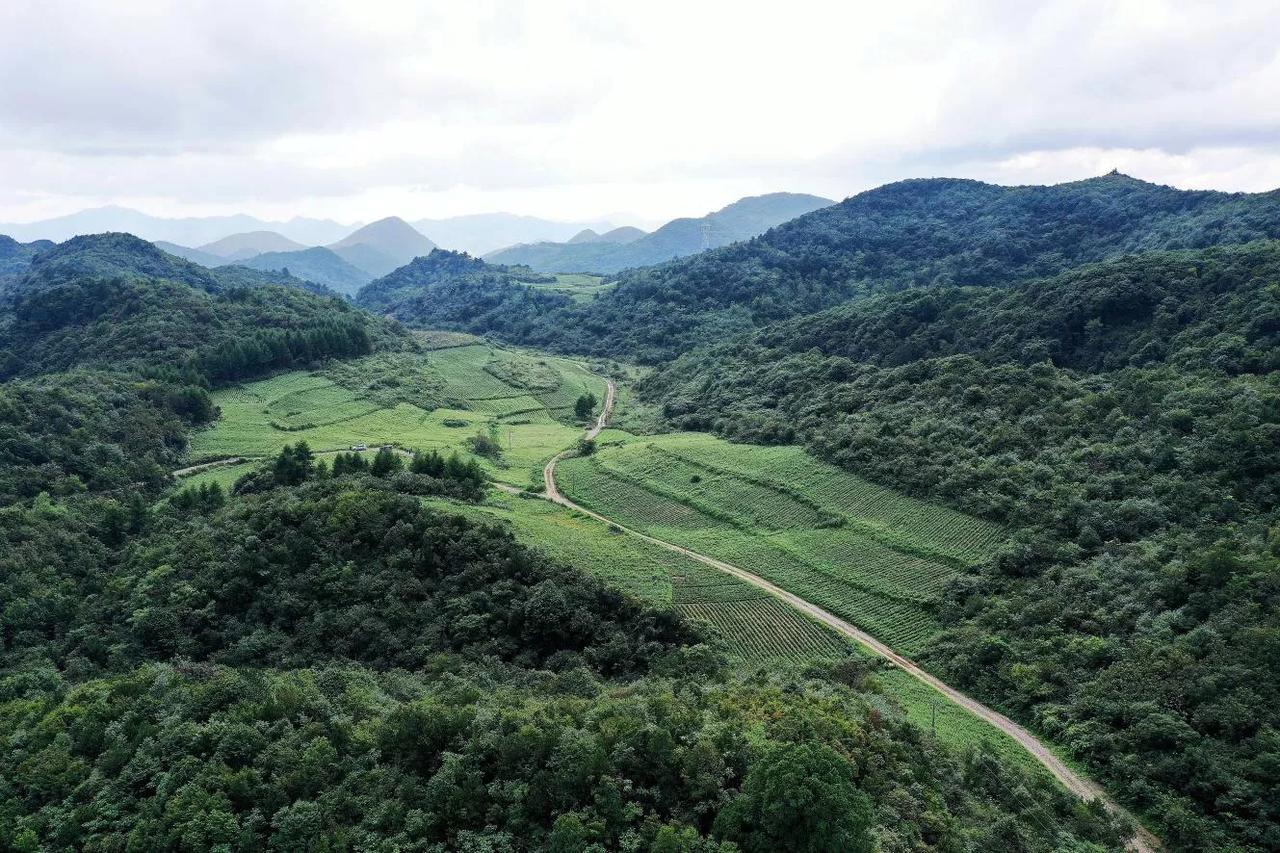 五峰——武陵药谷土家茶乡即将亮相2023年世界大健康博览会