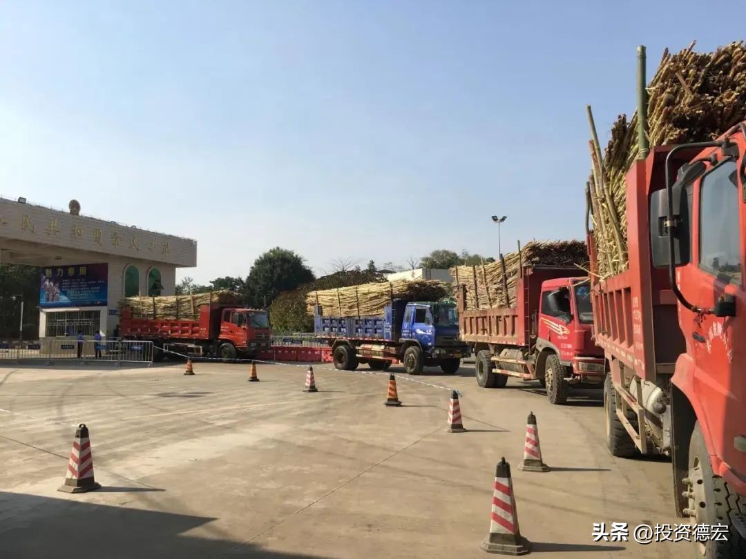 特色兴农看德宏|“甜蜜”的蔗糖产业