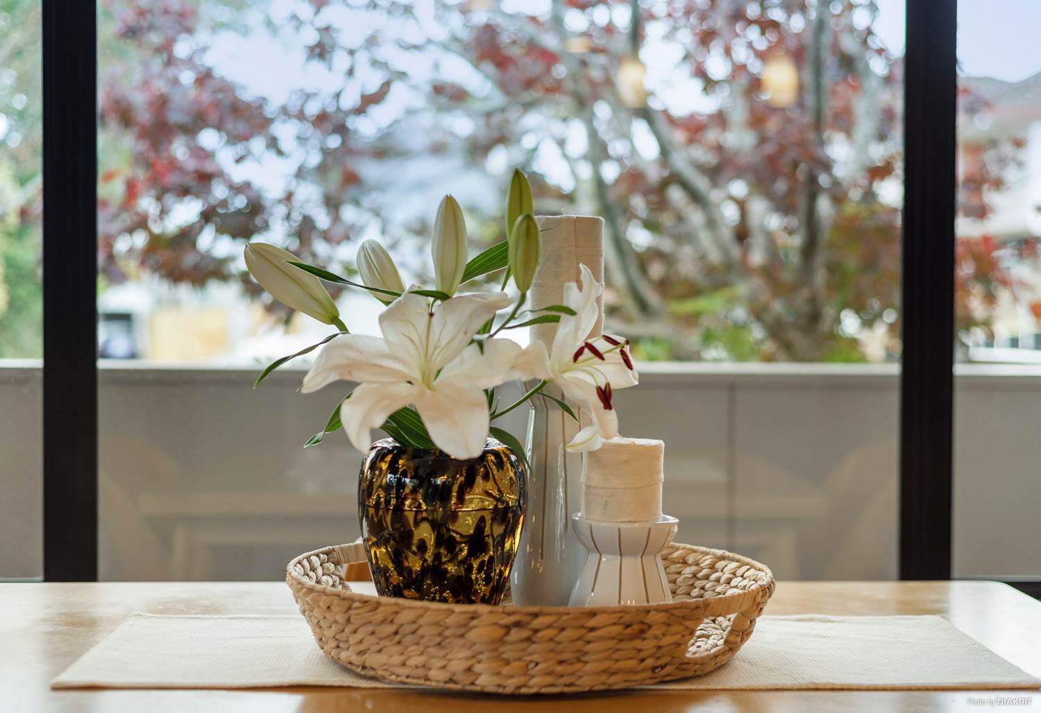 纽村照片,纽村的环境有多好