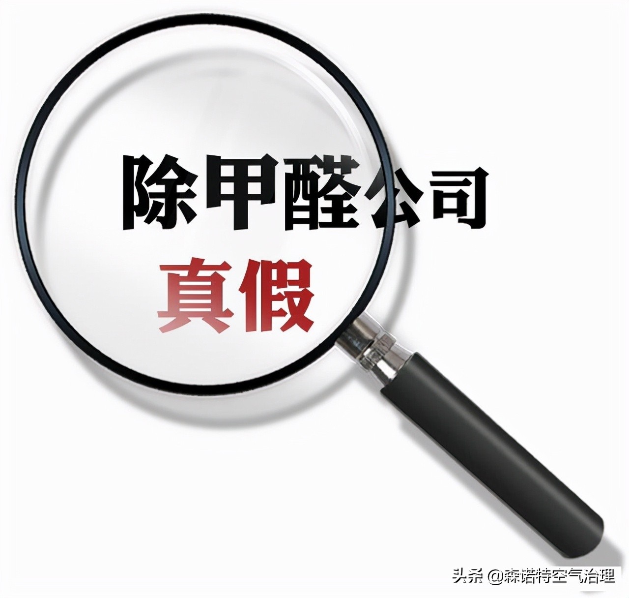 世界权威除甲醛公司,国外除甲醛的产品