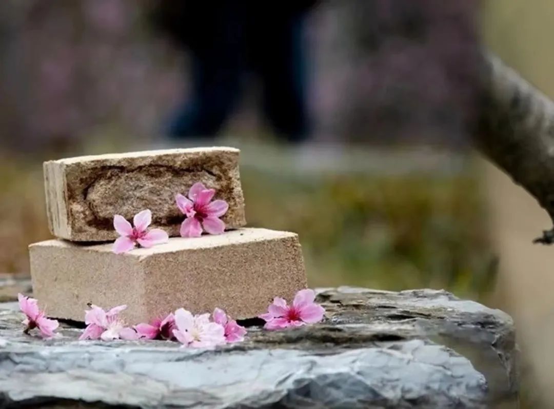 桃花春曲是什么意思,桃花春曲