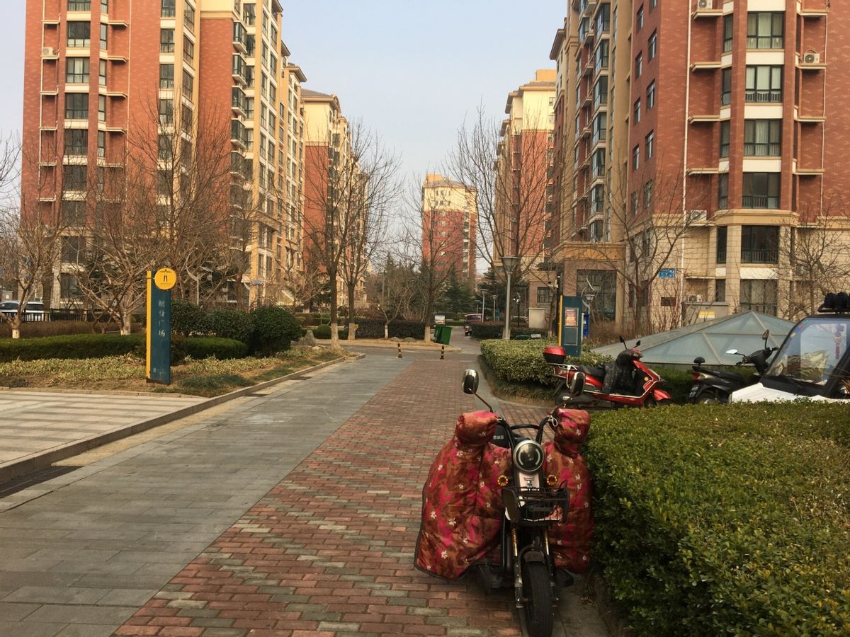 乳山银滩盛世滩租房信息,乳山银滩哪个小区租房好