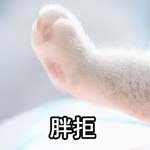 经期怎么吃不长肉是真的吗,经期吃得多不易长胖真的吗