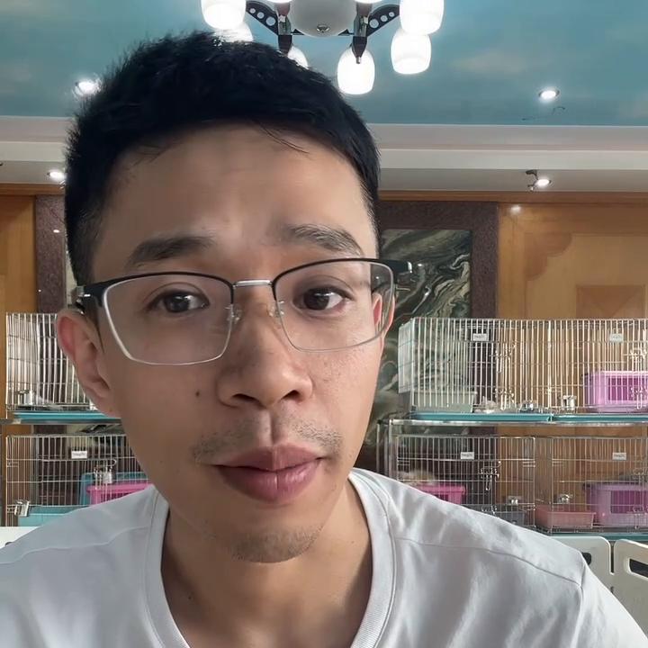 在上海买猫注意事项,怎么在香港买猫