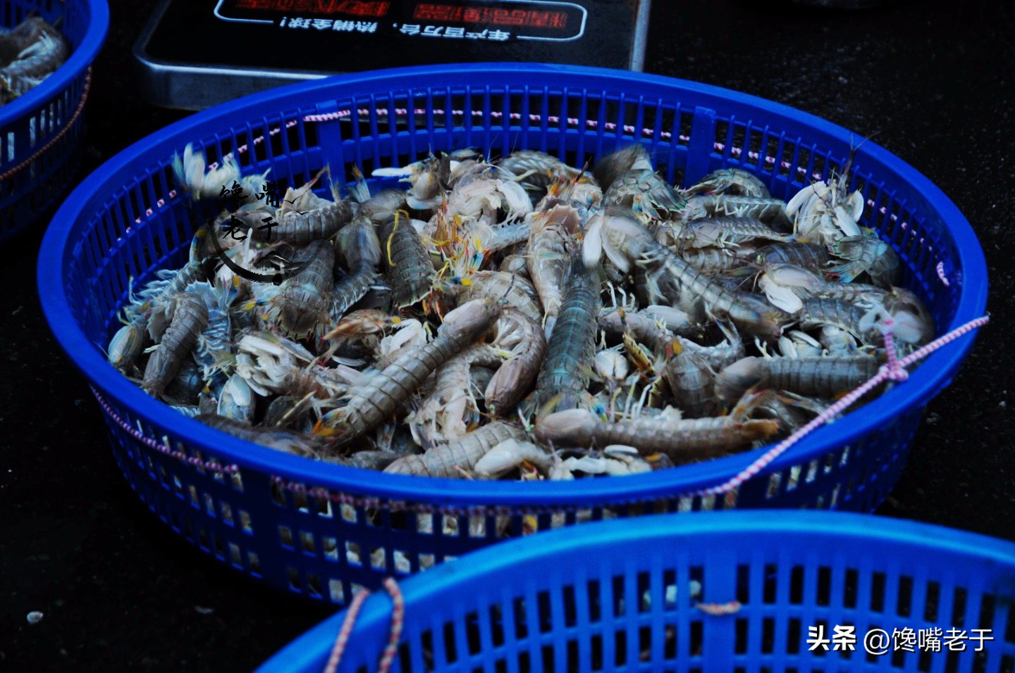 不要在乎价格,不要在乎旅游多少钱